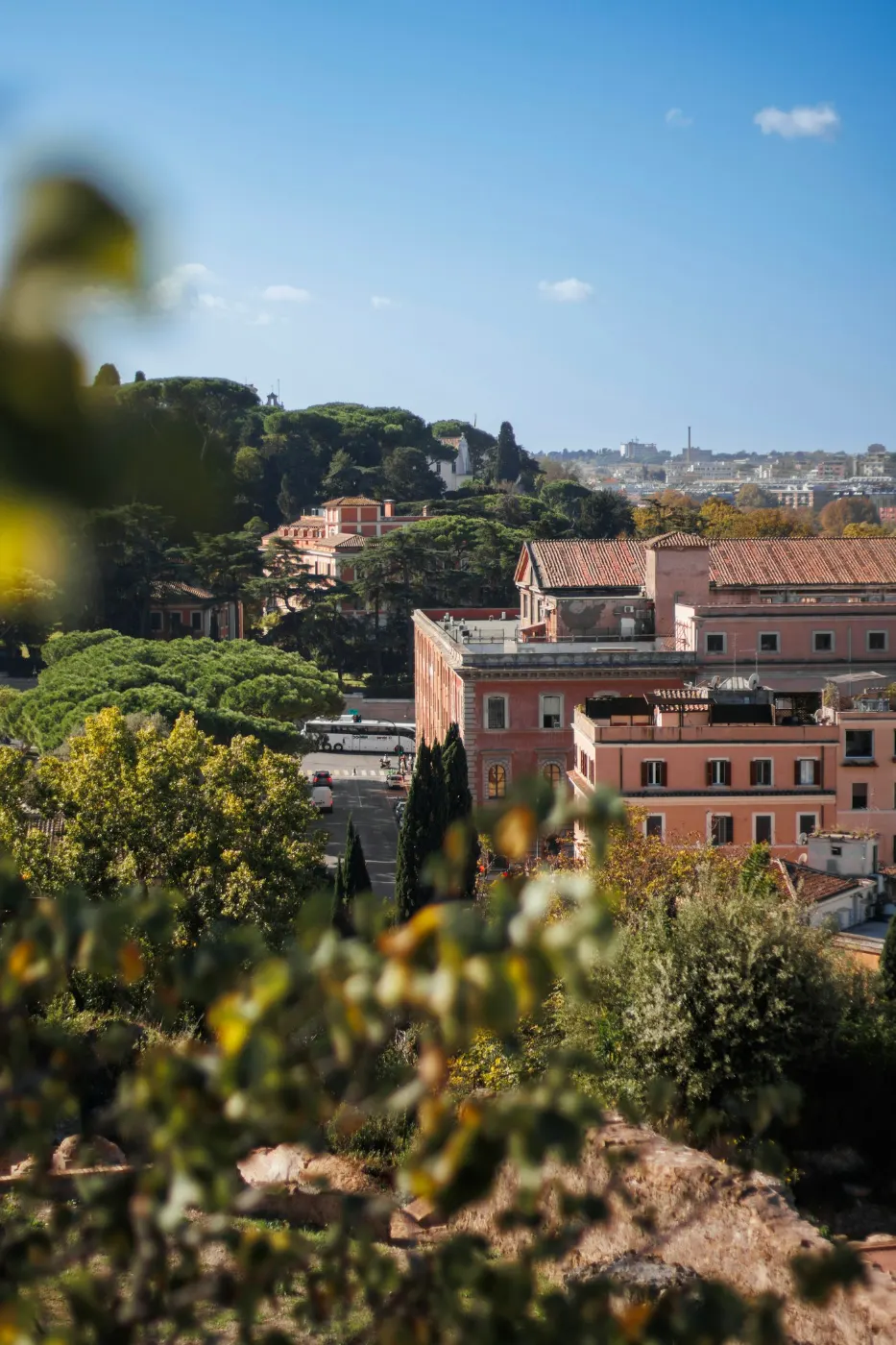 Veduta di Roma Nord tra pini e palazzi